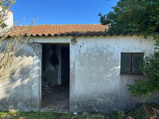 Moradia T3 para Venda em Cela Foto 16