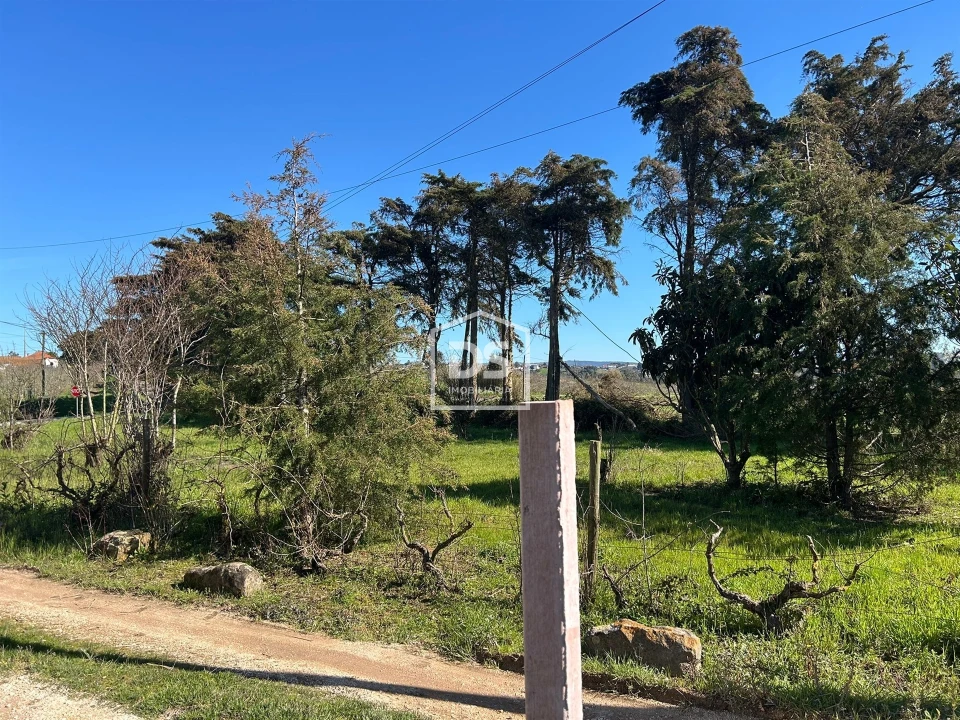 Moradia T3 para Venda em Cela Foto 29