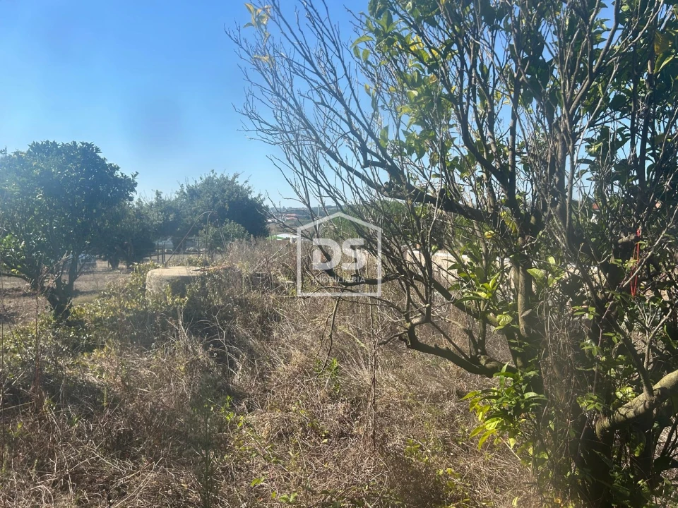 Moradia T3 para Venda em Cela Foto 9