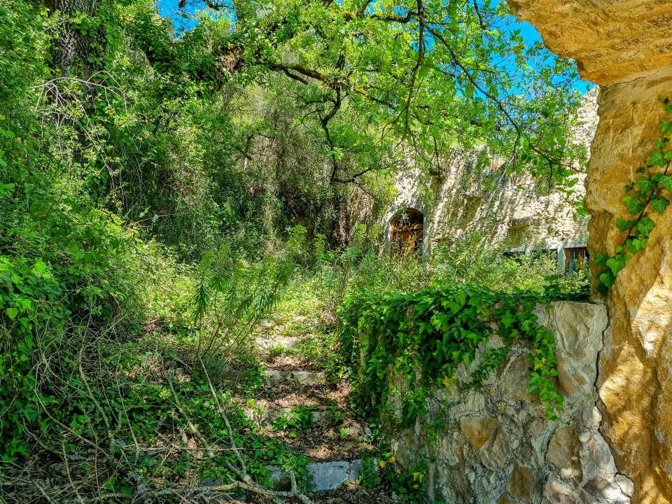 Quinta T0 para Venda em Abiul Foto 14