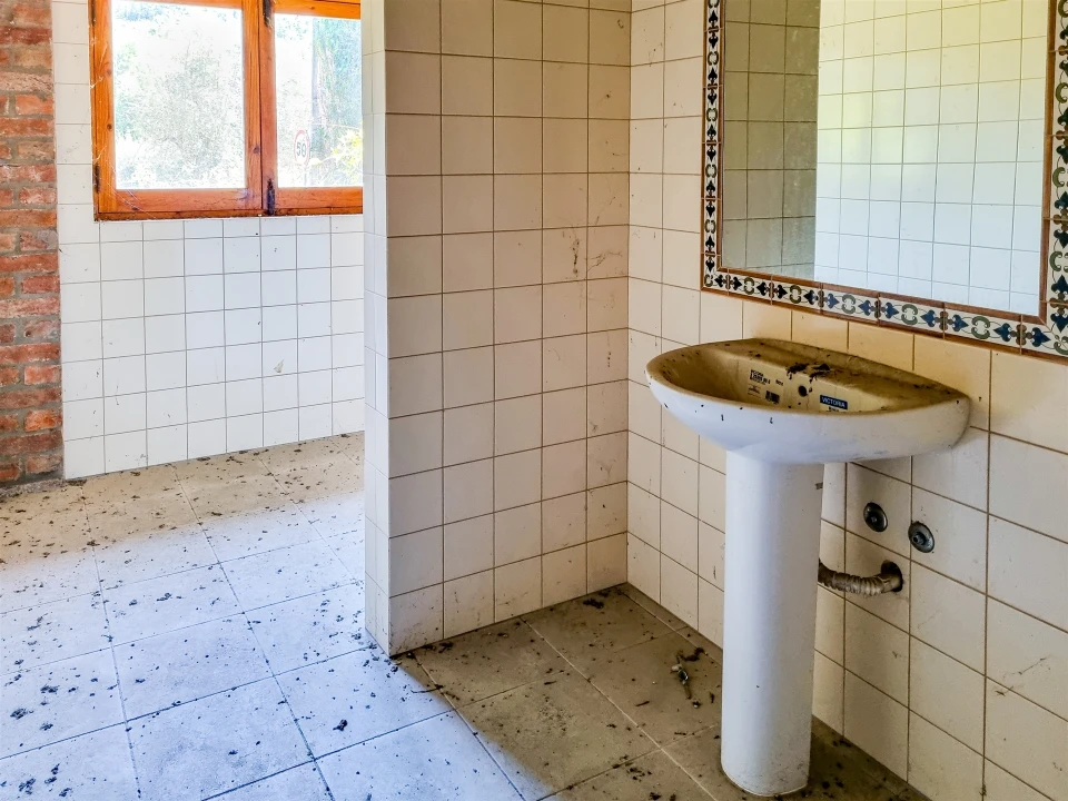 Quinta T0 para Venda em Abiul Foto 7