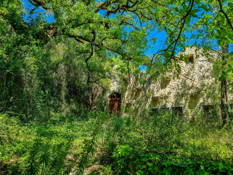 Quinta T0 para Venda em Abiul Foto 15