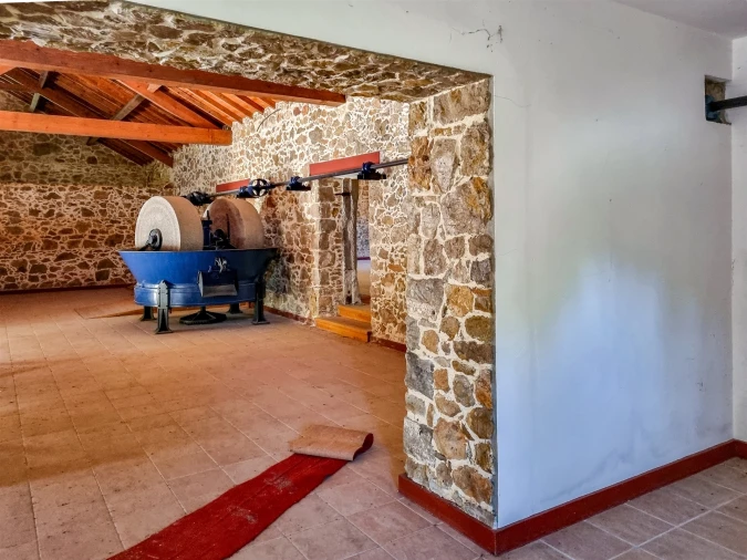 Quinta T0 para Venda em Abiul Foto 32