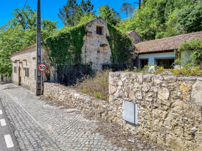 Quinta T0 para Venda em Abiul Foto 13