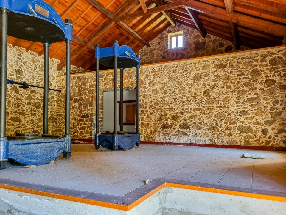 Quinta T0 para Venda em Abiul Foto 21