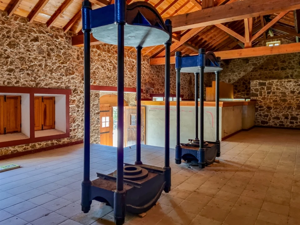 Quinta T0 para Venda em Abiul Foto 27