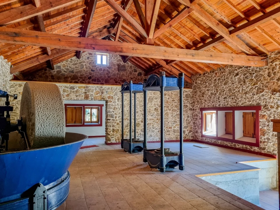 Quinta T0 para Venda em Abiul Foto 25