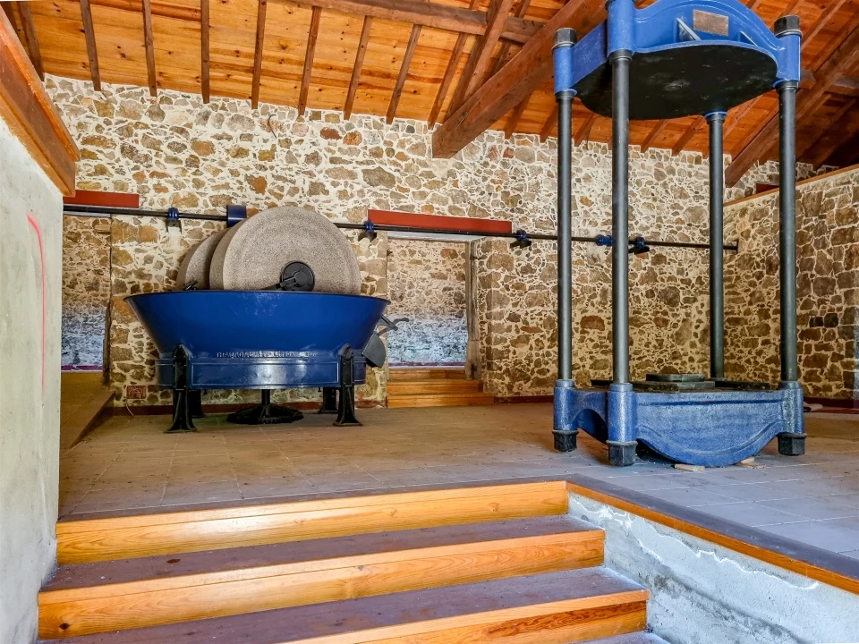 Quinta T0 para Venda em Abiul Foto 22