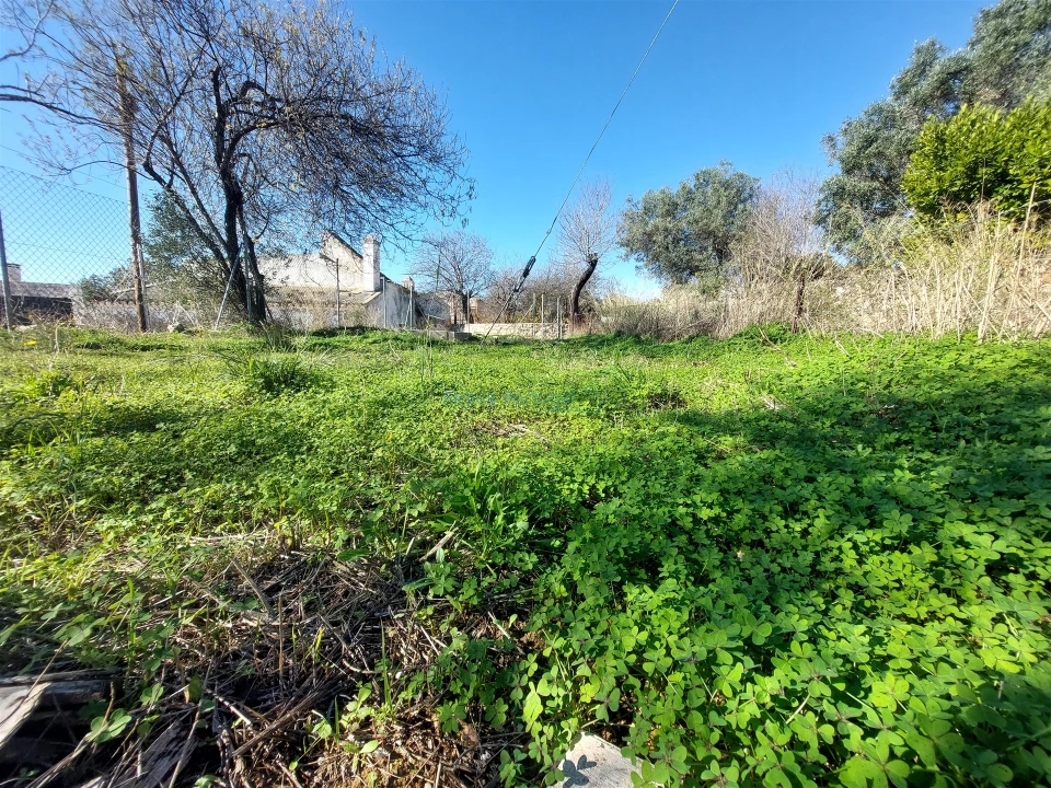 Terreno para Venda em Santa Barbara de Nexe Foto 1