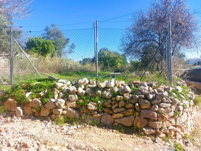 Terreno para Venda em Santa Barbara de Nexe Foto 8