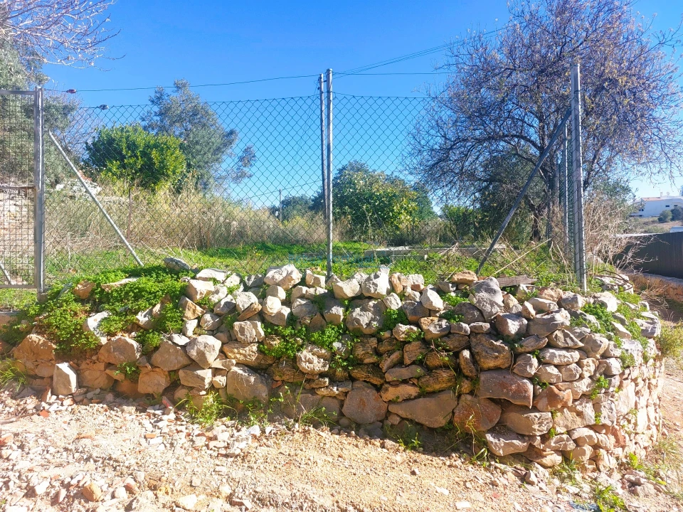 Terreno para Venda em Santa Barbara de Nexe Foto 8