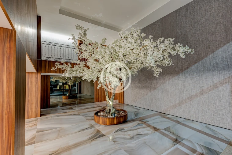 Apartamento T1 para Arrendamento em Bonfim Foto 8