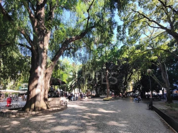 Apartamento para Venda em Campo de Ourique