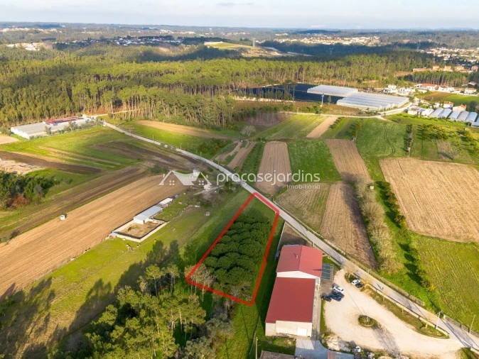 Terreno para Venda em Souto da Carpalhosa e Ortigosa Foto 3
