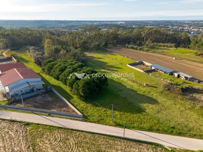 Terreno para Venda em Souto da Carpalhosa e Ortigosa Foto 4