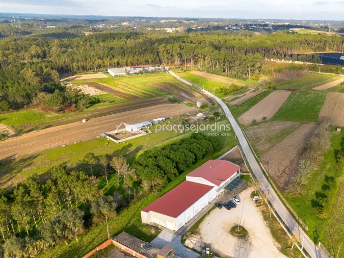 Terreno para Venda em Souto da Carpalhosa e Ortigosa Foto 17