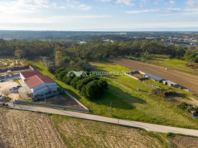 Terreno para Venda em Souto da Carpalhosa e Ortigosa Foto 5