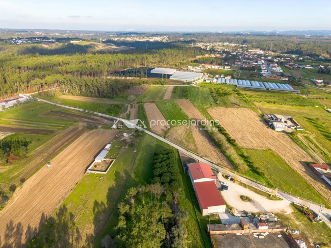 Terreno para Venda em Souto da Carpalhosa e Ortigosa Foto 16