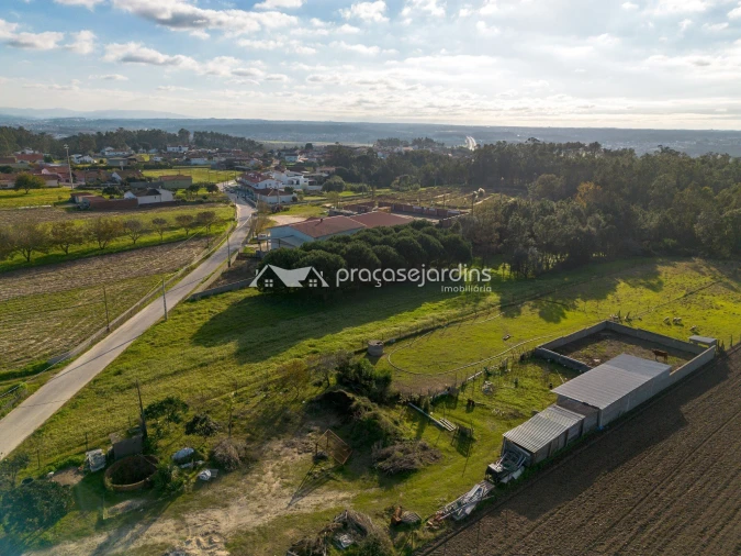 Terreno para Venda em Souto da Carpalhosa e Ortigosa Foto 10