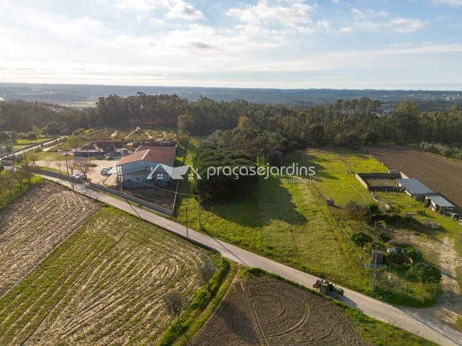 Terreno para Venda em Souto da Carpalhosa e Ortigosa Foto 7