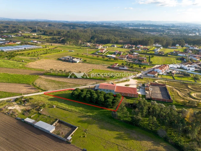 Terreno para Venda em Souto da Carpalhosa e Ortigosa