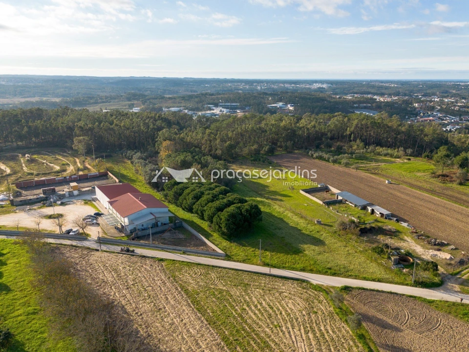 Terreno para Venda em Souto da Carpalhosa e Ortigosa Foto 6