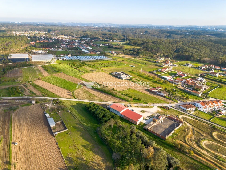 Terreno para Venda em Souto da Carpalhosa e Ortigosa Foto 15