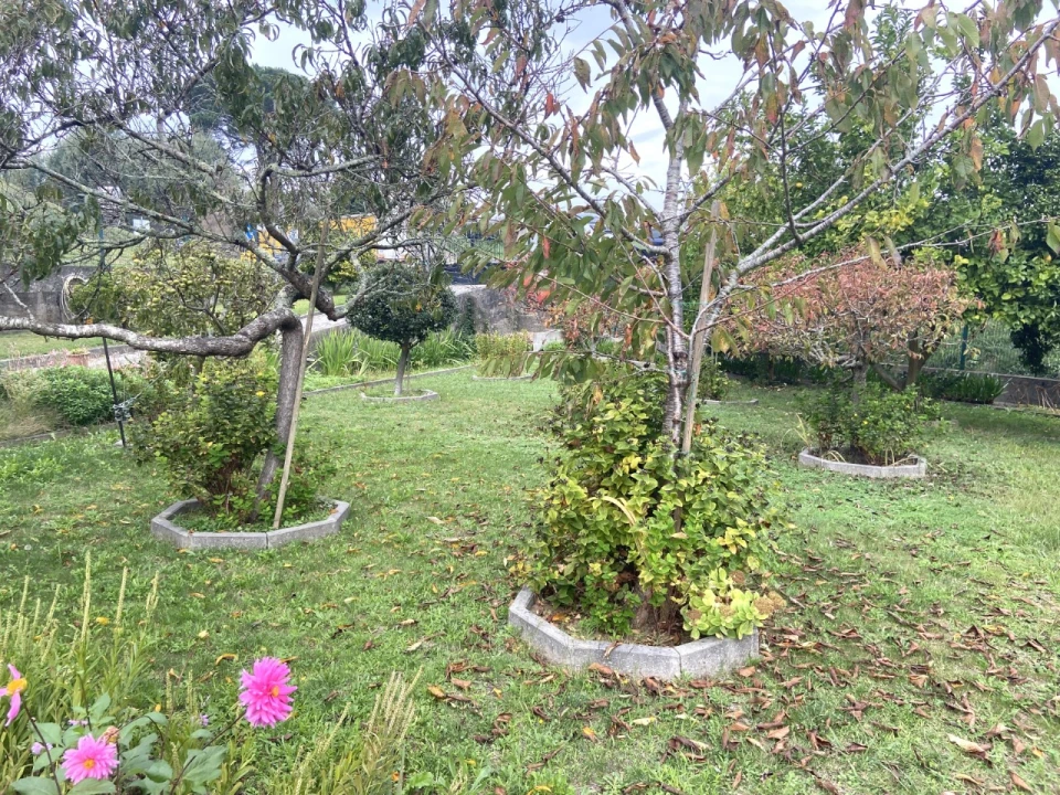 Moradia T3 para Venda em Gondarem Foto 38