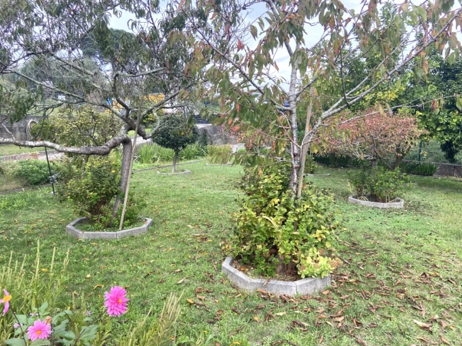 Moradia T3 para Venda em Gondarem Foto 38