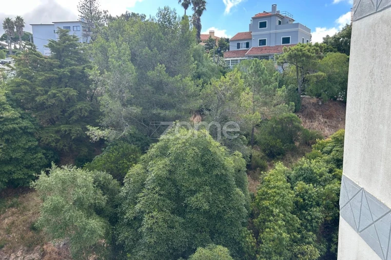 Apartamento T1 para Venda em Cascais e Estoril Foto 19