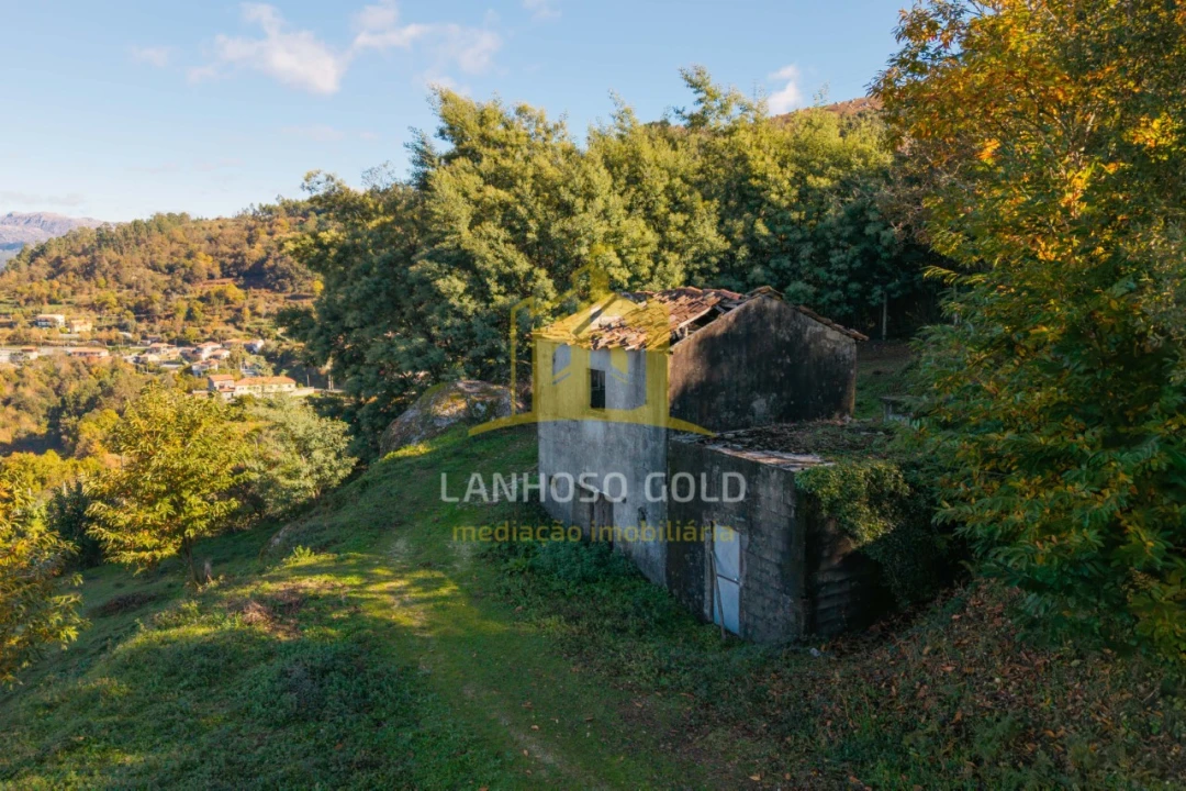 Terreno para Venda em Ventosa e Cova Foto 1