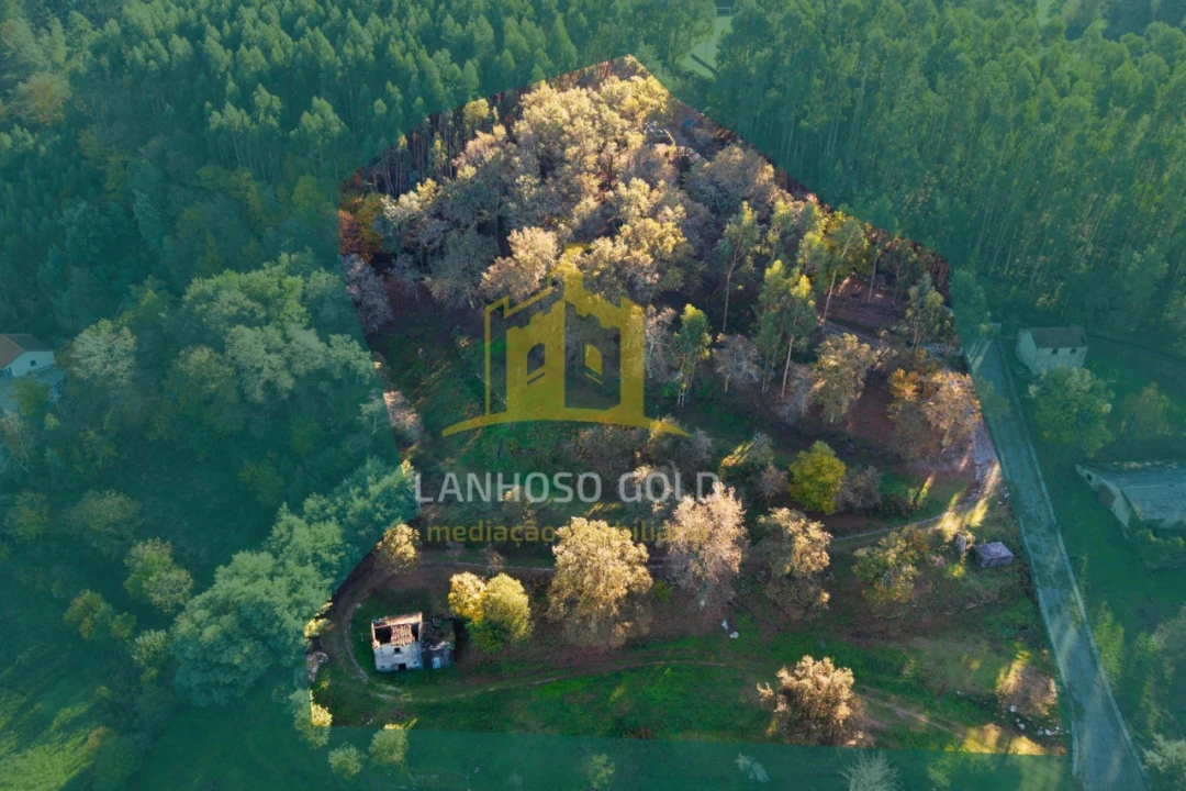 Terreno para Venda em Ventosa e Cova Foto 2