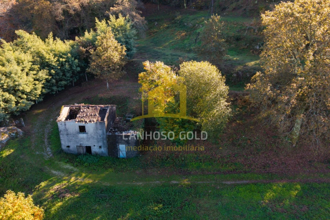 Terreno para Venda em Ventosa e Cova Foto 4