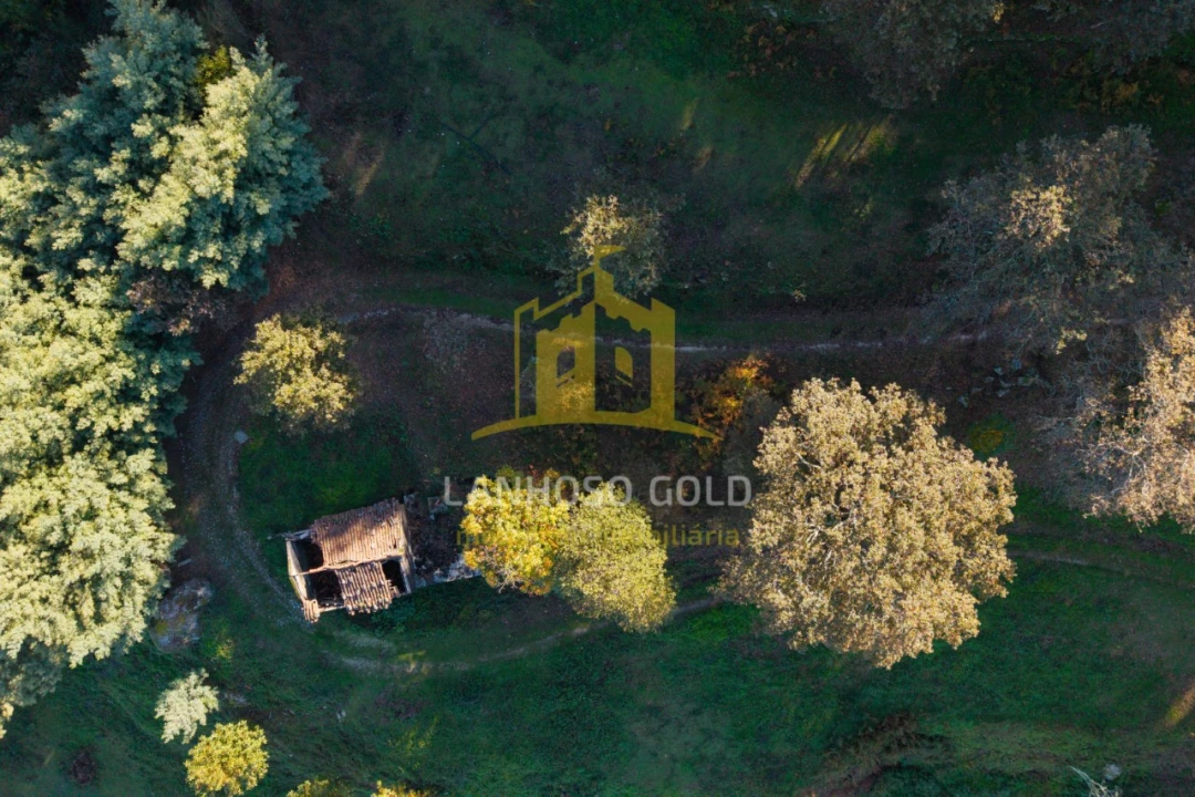 Terreno para Venda em Ventosa e Cova Foto 5