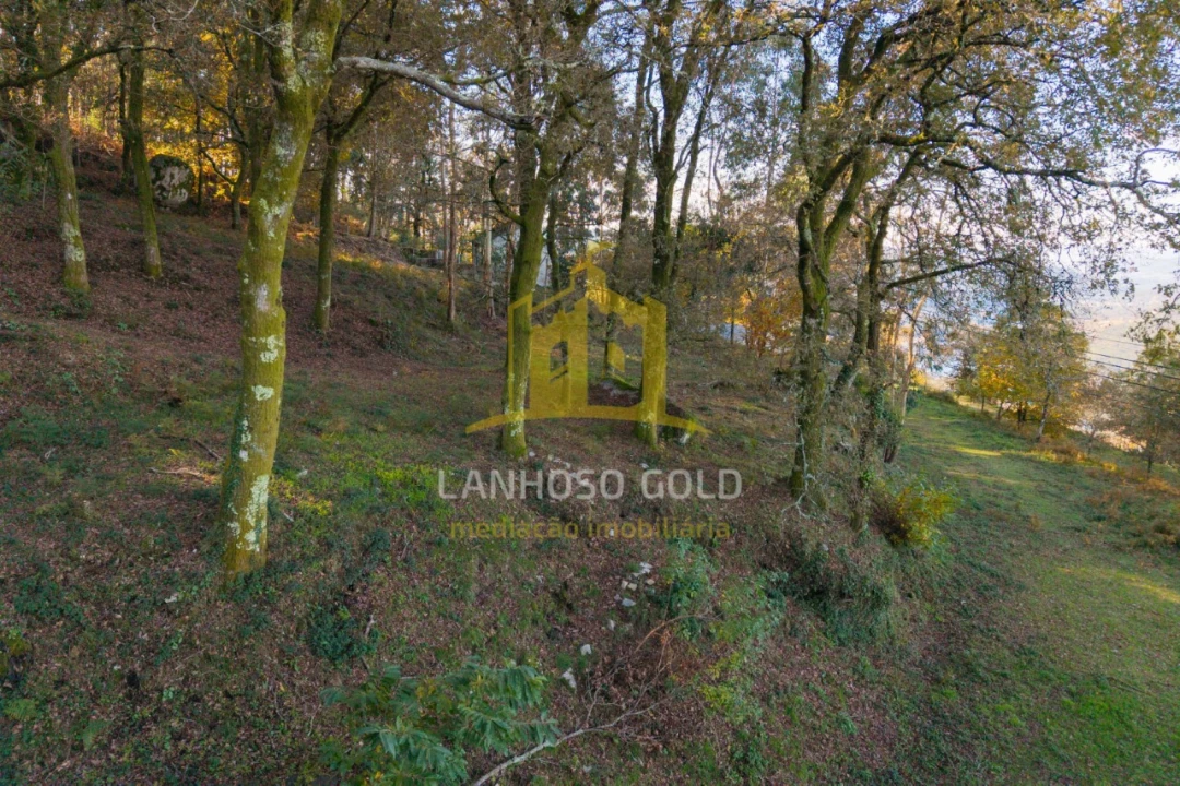 Terreno para Venda em Ventosa e Cova Foto 14