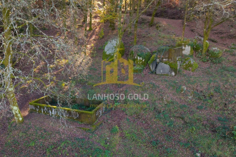 Terreno para Venda em Ventosa e Cova Foto 12