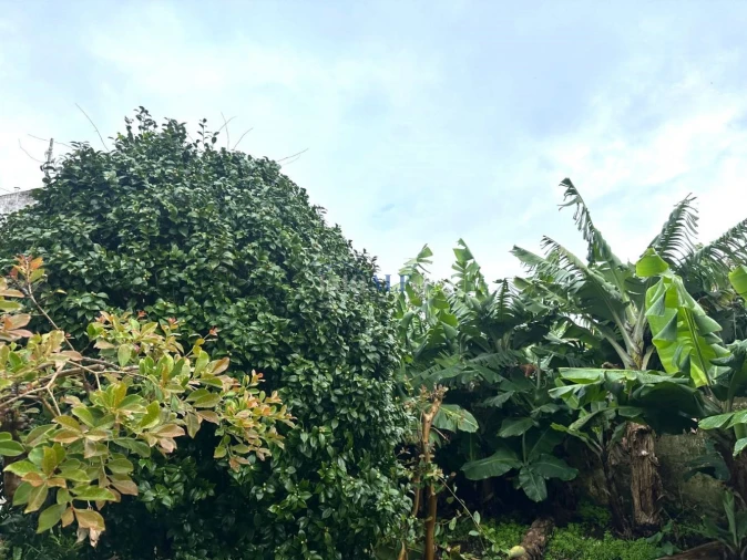 Moradia T4 para Venda em Angra (Santa Luzia) Foto 30