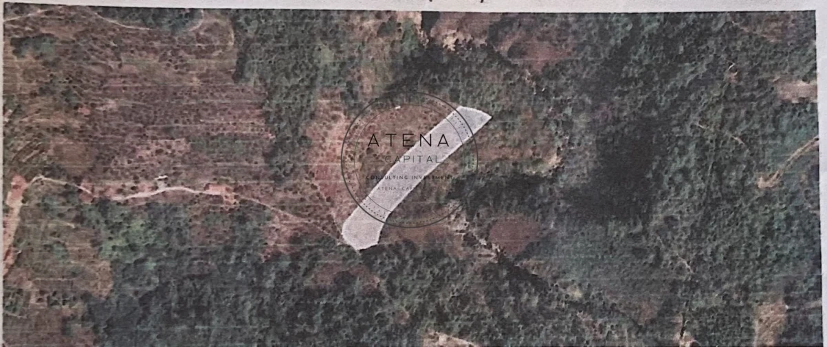 Terreno para Venda em Parada de Cunhos Foto 1