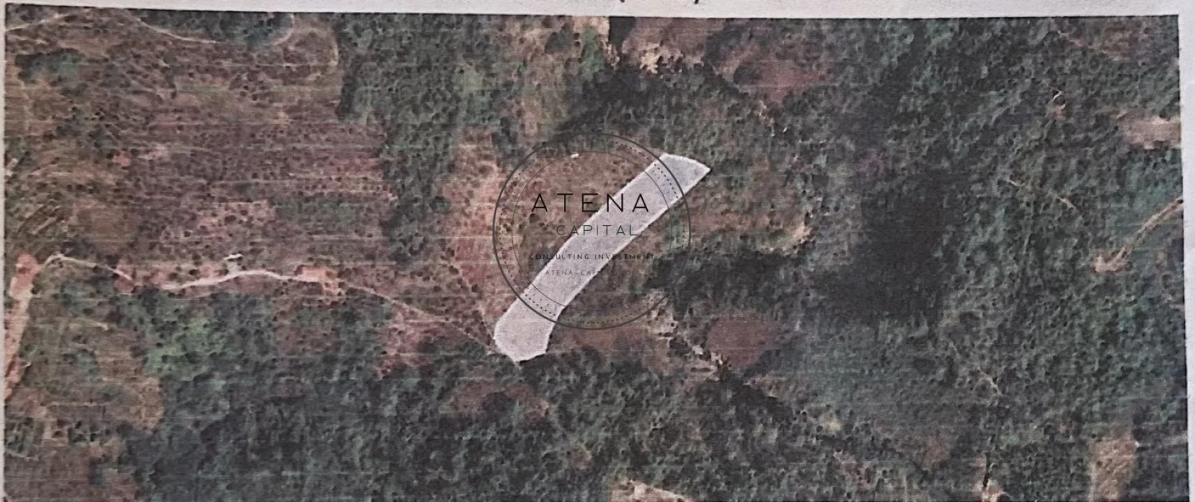 Terreno para Venda em Parada de Cunhos Foto 1