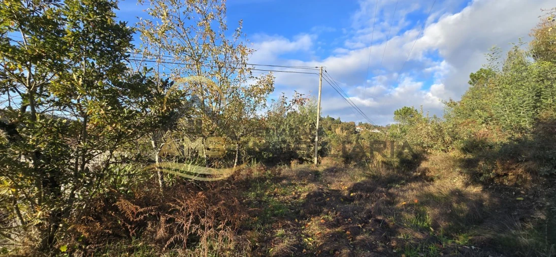 Terreno para Venda em Revelhe Foto 22