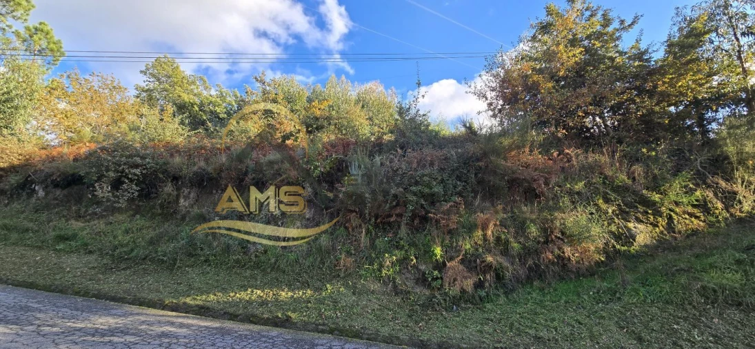 Terreno para Venda em Revelhe Foto 10