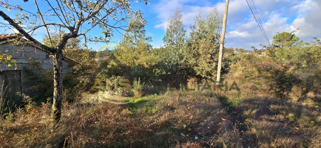 Terreno para Venda em Revelhe Foto 24