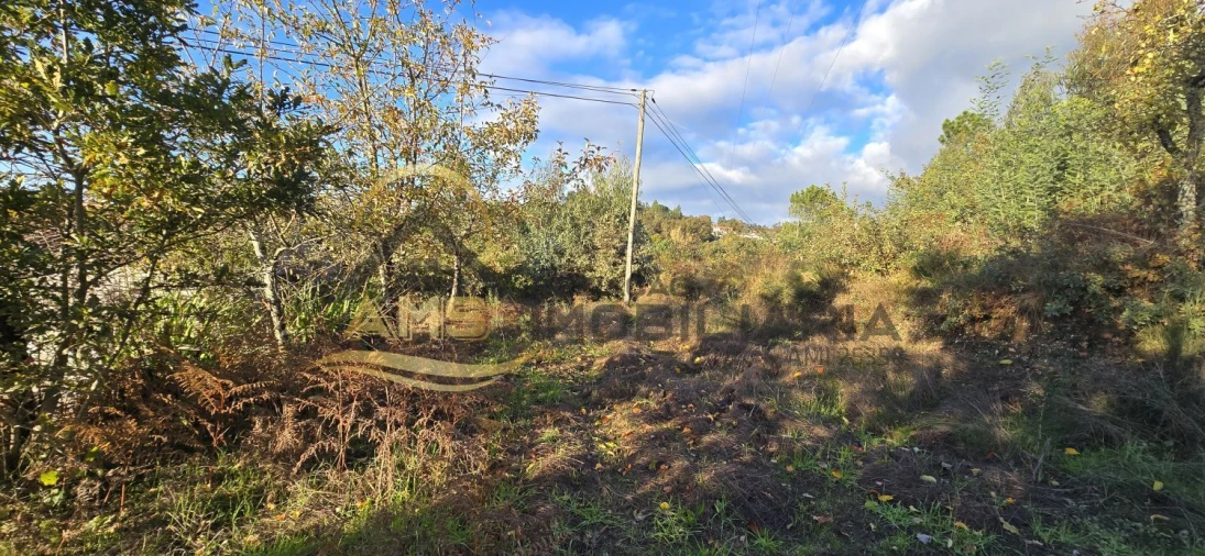 Terreno para Venda em Revelhe Foto 19