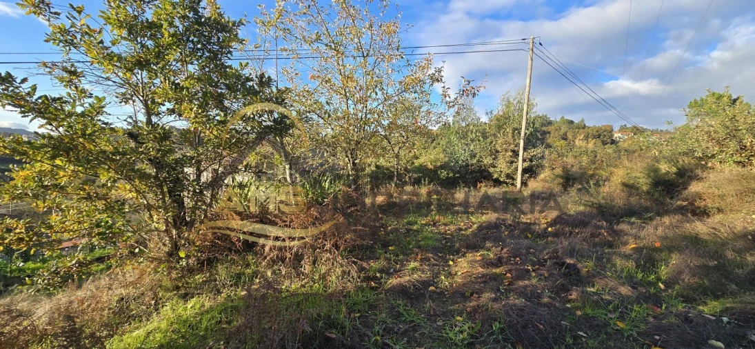 Terreno para Venda em Revelhe Foto 27