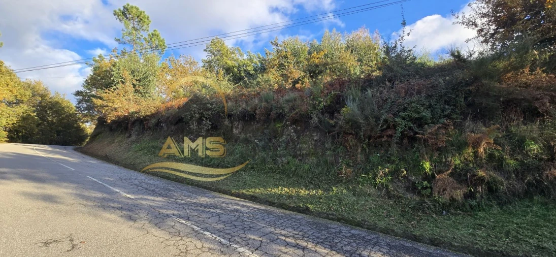 Terreno para Venda em Revelhe Foto 3