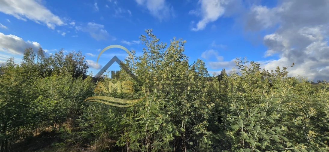 Terreno para Venda em Revelhe Foto 12