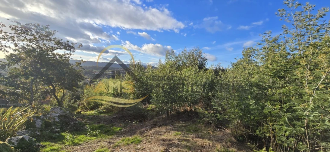 Terreno para Venda em Revelhe Foto 4