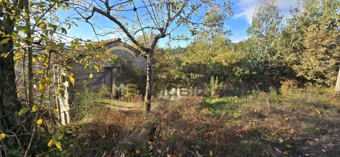 Terreno para Venda em Revelhe Foto 8