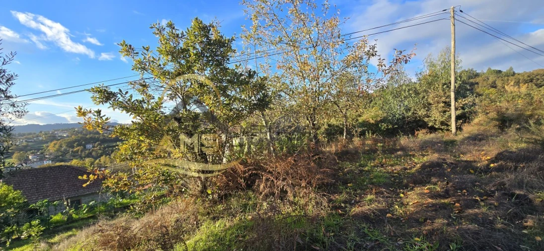 Terreno para Venda em Revelhe Foto 26