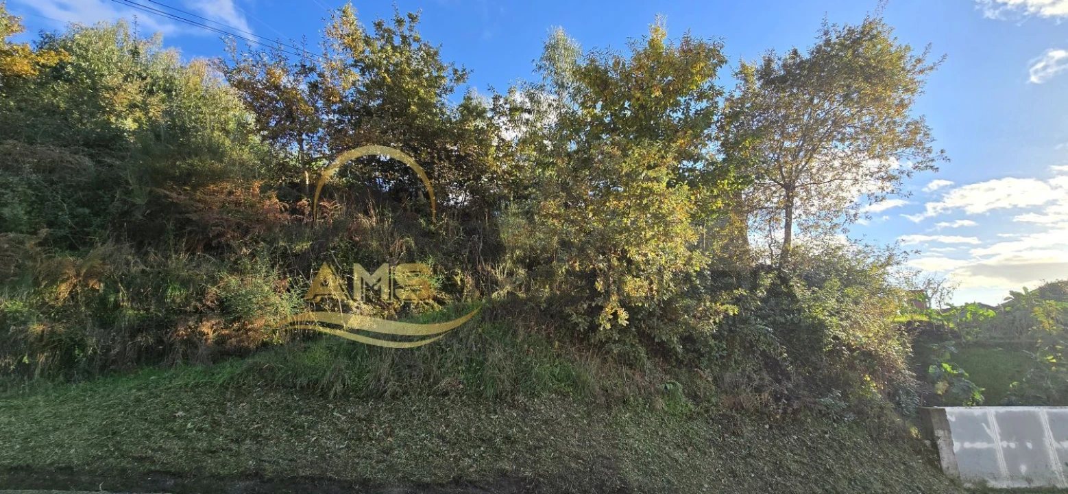 Terreno para Venda em Revelhe Foto 15